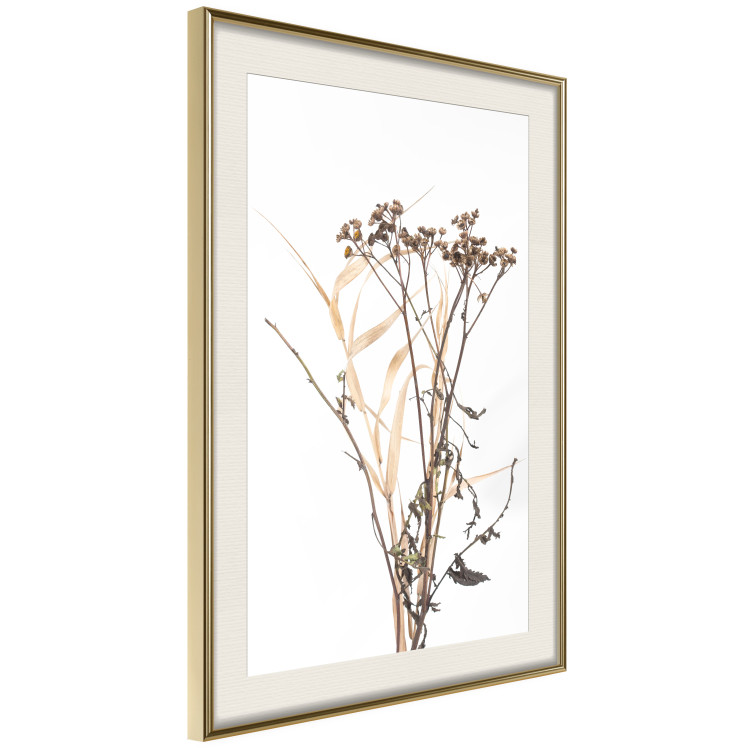 Poster Chamomile - simple autumn composition with a botanical motif on a white background 119181 additionalImage 8
