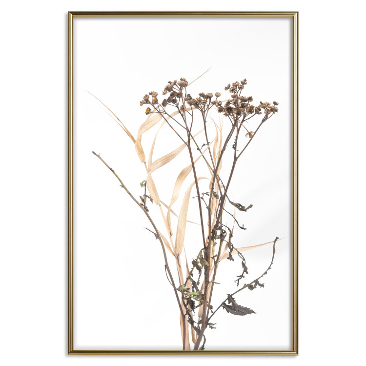 Poster Chamomile - simple autumn composition with a botanical motif on a white background 119181 additionalImage 20