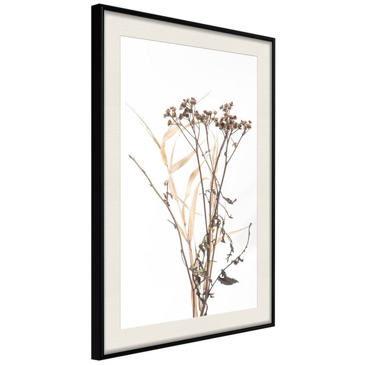 Poster Chamomile - simple autumn composition with a botanical motif on a white background 119181 additionalImage 14