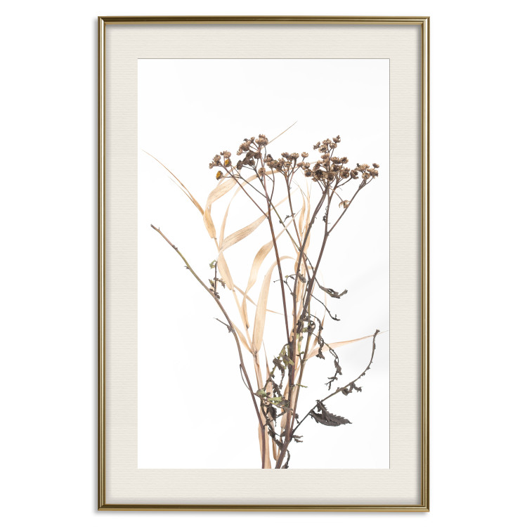 Poster Chamomile - simple autumn composition with a botanical motif on a white background 119181 additionalImage 19