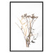 Poster Chamomile - simple autumn composition with a botanical motif on a white background 119181 additionalThumb 15