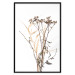 Poster Chamomile - simple autumn composition with a botanical motif on a white background 119181 additionalThumb 18