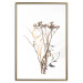 Poster Chamomile - simple autumn composition with a botanical motif on a white background 119181 additionalThumb 16