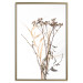 Poster Chamomile - simple autumn composition with a botanical motif on a white background 119181 additionalThumb 20