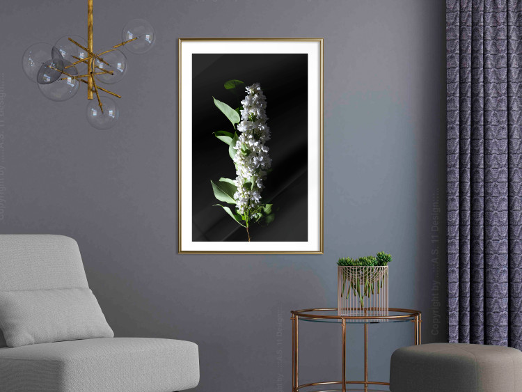 Poster White Lilacs - botanical composition with spring flowers on a black background 121881 additionalImage 13
