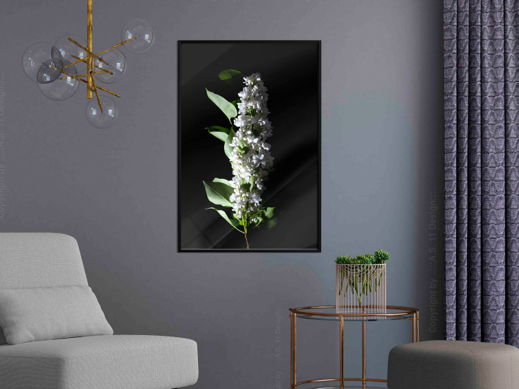 Poster White Lilacs - botanical composition with spring flowers on a black background 121881 additionalImage 3