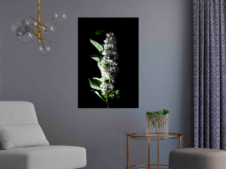 Poster White Lilacs - botanical composition with spring flowers on a black background 121881 additionalImage 17