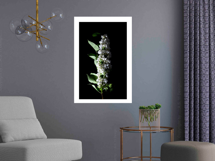 Poster White Lilacs - botanical composition with spring flowers on a black background 121881 additionalImage 2