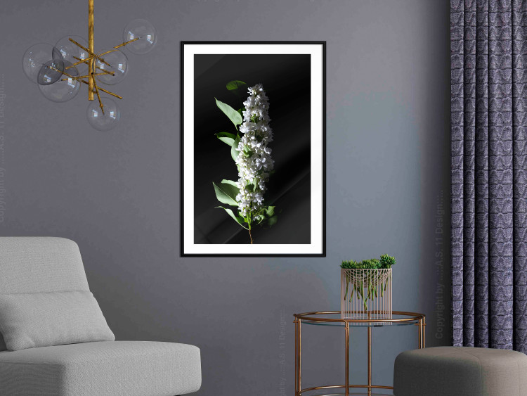 Poster White Lilacs - botanical composition with spring flowers on a black background 121881 additionalImage 4
