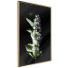Poster White Lilacs - botanical composition with spring flowers on a black background 121881 additionalThumb 12