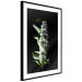 Poster White Lilacs - botanical composition with spring flowers on a black background 121881 additionalThumb 11