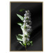 Poster White Lilacs - botanical composition with spring flowers on a black background 121881 additionalThumb 16