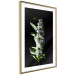 Poster White Lilacs - botanical composition with spring flowers on a black background 121881 additionalThumb 6