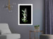 Poster White Lilacs - botanical composition with spring flowers on a black background 121881 additionalThumb 2