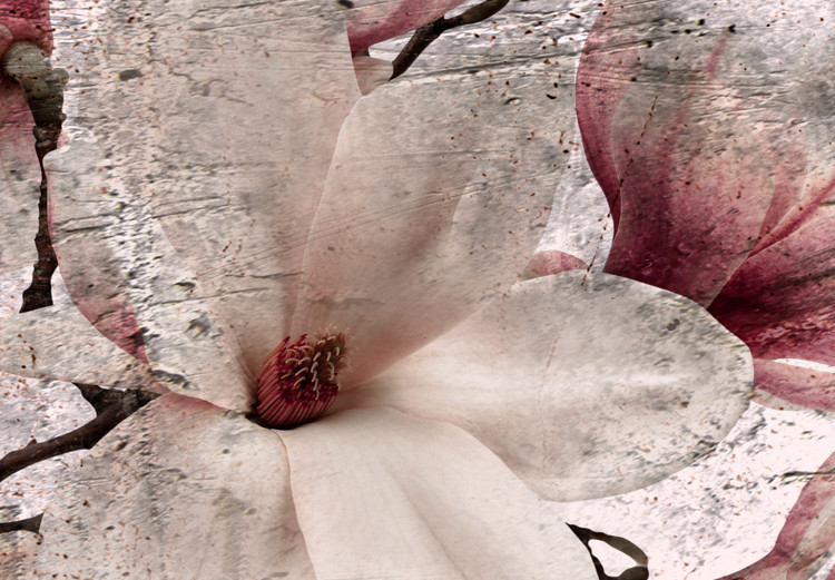 Canvas Print Floral Texture of Rose (3-part) - Magnolias in Rustic Nature 122781 additionalImage 4