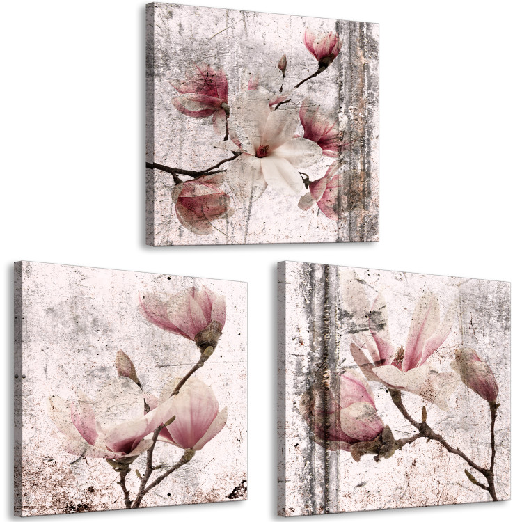 Canvas Print Floral Texture of Rose (3-part) - Magnolias in Rustic Nature 122781 additionalImage 2