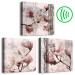 Canvas Print Floral Texture of Rose (3-part) - Magnolias in Rustic Nature 122781 additionalThumb 6