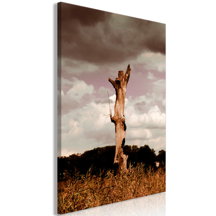 Canvas Print Trunk of a withered tree - photo of nature against the clouds and sky 124381 additionalImage 2