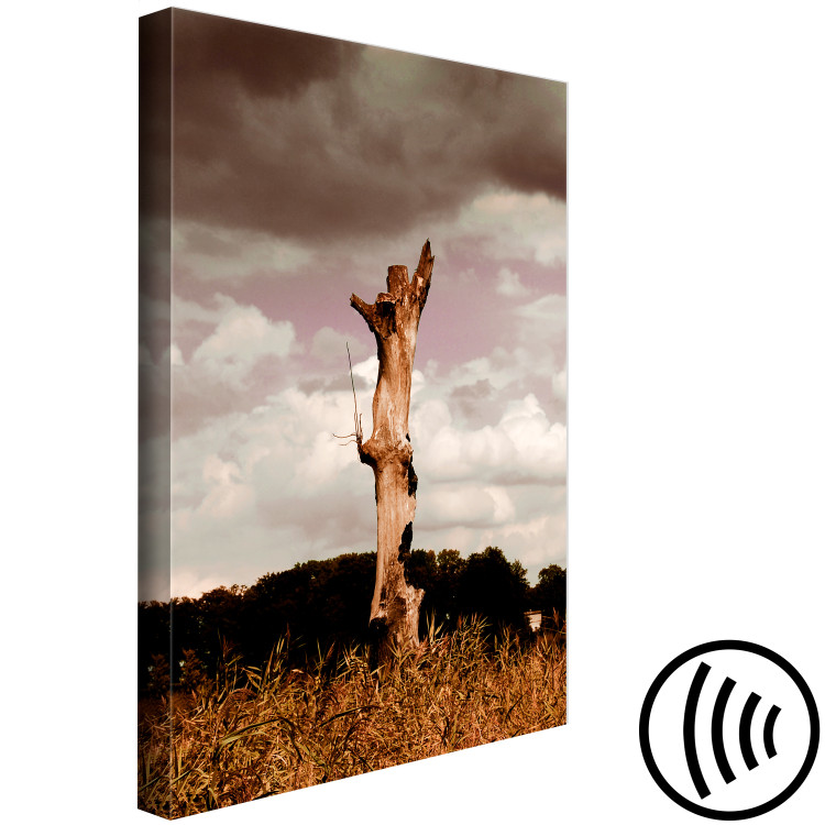 Canvas Print Trunk of a withered tree - photo of nature against the clouds and sky 124381 additionalImage 6