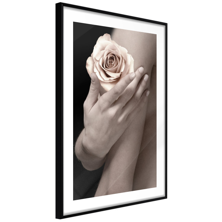 Wall Poster Subtle Fragrance - woman's hand holding rose flower on black background 128081 additionalImage 8