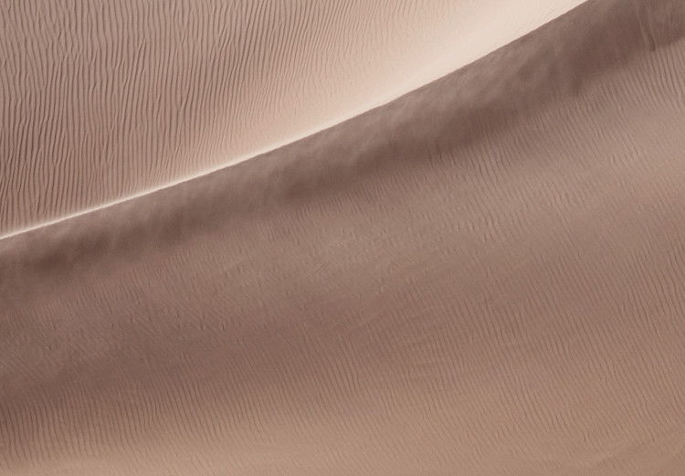 Wall Poster Sandy Fabric - delicate desert sands in a light composition 129481 additionalImage 9