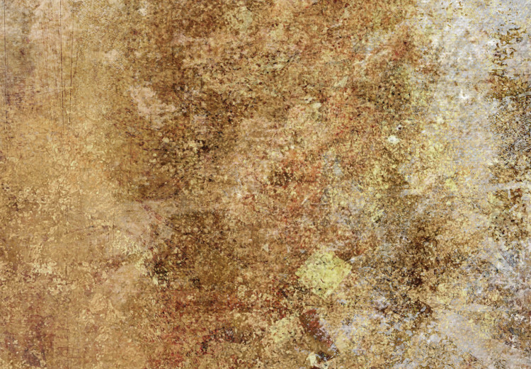 Canvas Print Gold fog - Abstraction with blurry colors of gold, copper and beige 135081 additionalImage 4