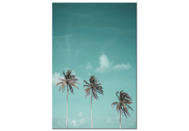Canvas Art Print Three palms - Image of three trees on a blue sky 135281