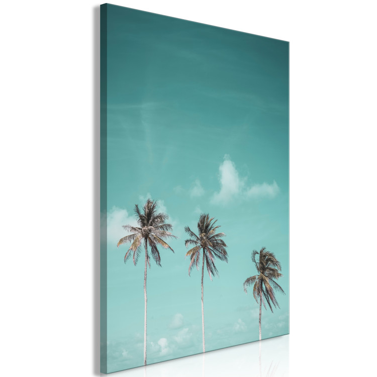 Canvas Art Print Three palms - Image of three trees on a blue sky 135281 additionalImage 2