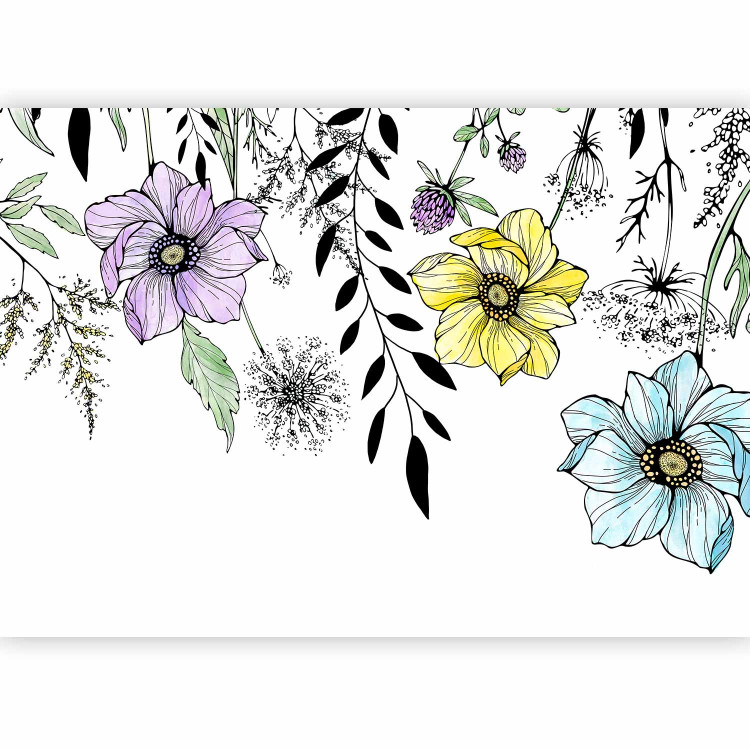 Photo Wallpaper Graphic meadow - motif of colourful field flowers in lineart style 143081 additionalImage 1
