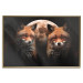 Wall Poster Forest Couple - Two Foxes and the Moon Against the Night, Starry Sky 144781 additionalThumb 14