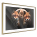 Wall Poster Forest Couple - Two Foxes and the Moon Against the Night, Starry Sky 144781 additionalThumb 9