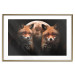 Wall Poster Forest Couple - Two Foxes and the Moon Against the Night, Starry Sky 144781 additionalThumb 20