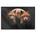 Wall Poster Forest Couple - Two Foxes and the Moon Against the Night, Starry Sky 144781 additionalThumb 18