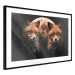 Wall Poster Forest Couple - Two Foxes and the Moon Against the Night, Starry Sky 144781 additionalThumb 6