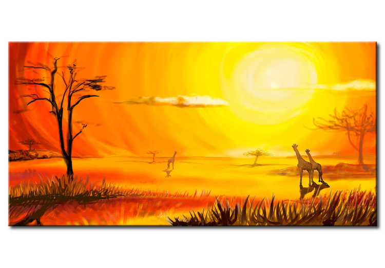 Canvas Print Sunny Africa - the African landscape bathed in sunshine 49481