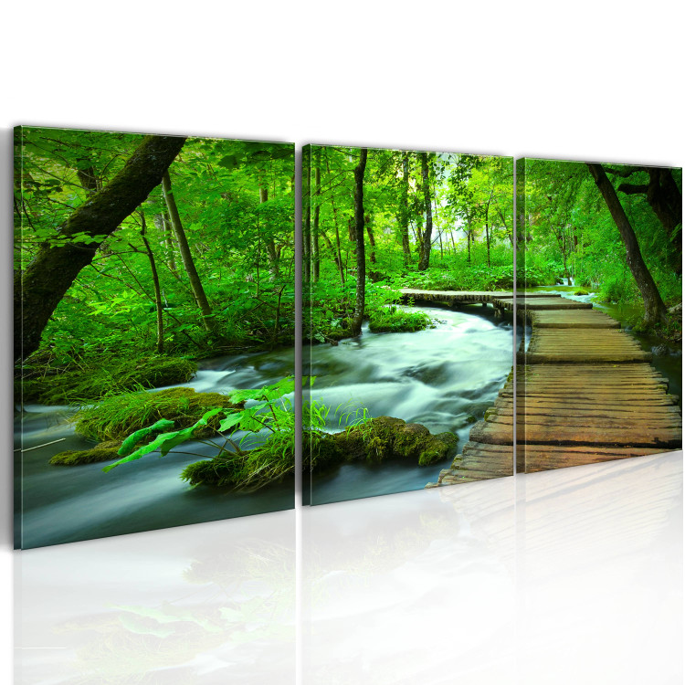 Canvas Print Forest broadwalk - triptych 58481 additionalImage 2