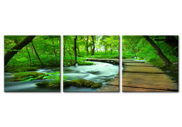 Canvas Print Forest broadwalk - triptych 58481