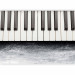 Wall Mural Inspired by Chopin - grey stone 61381 additionalThumb 5