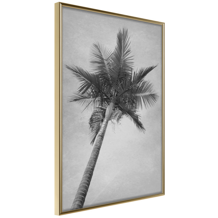 Wall Poster Tall Palm Tree - black and white tropical landscape from a frog's perspective 116491 additionalImage 12