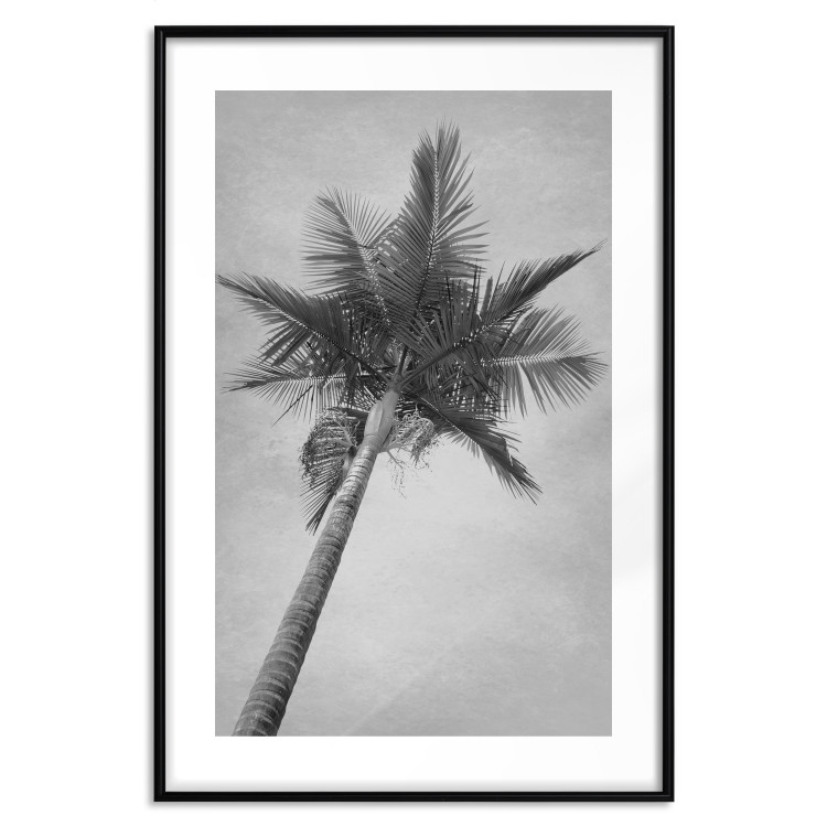 Wall Poster Tall Palm Tree - black and white tropical landscape from a frog's perspective 116491 additionalImage 20
