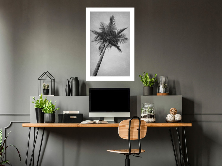 Wall Poster Tall Palm Tree - black and white tropical landscape from a frog's perspective 116491 additionalImage 2