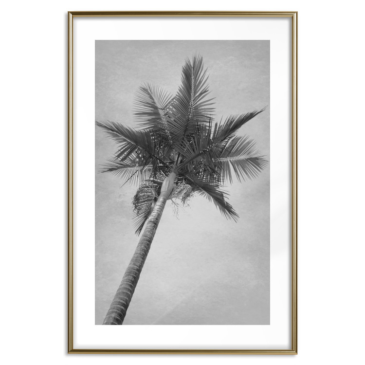 Wall Poster Tall Palm Tree - black and white tropical landscape from a frog's perspective 116491 additionalImage 16