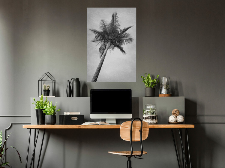 Wall Poster Tall Palm Tree - black and white tropical landscape from a frog's perspective 116491 additionalImage 14