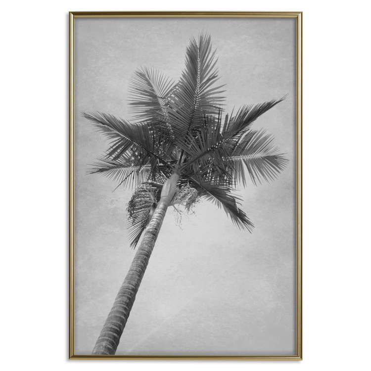 Wall Poster Tall Palm Tree - black and white tropical landscape from a frog's perspective 116491 additionalImage 19