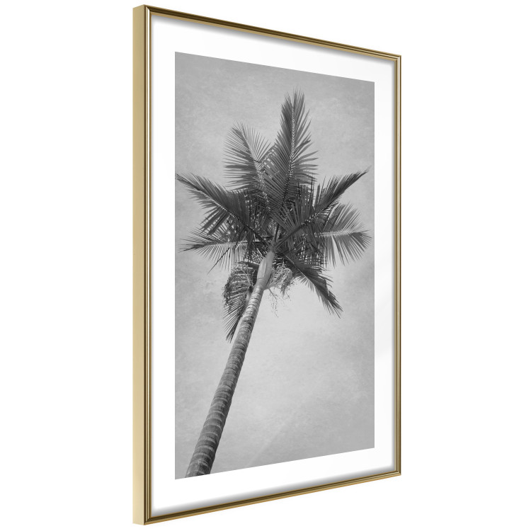 Wall Poster Tall Palm Tree - black and white tropical landscape from a frog's perspective 116491 additionalImage 6