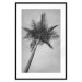 Wall Poster Tall Palm Tree - black and white tropical landscape from a frog's perspective 116491 additionalThumb 20
