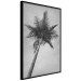 Wall Poster Tall Palm Tree - black and white tropical landscape from a frog's perspective 116491 additionalThumb 10
