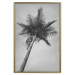 Wall Poster Tall Palm Tree - black and white tropical landscape from a frog's perspective 116491 additionalThumb 19