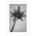 Wall Poster Tall Palm Tree - black and white tropical landscape from a frog's perspective 116491 additionalThumb 18