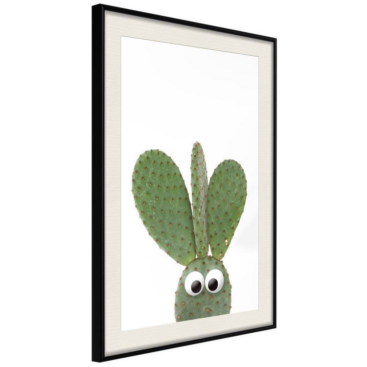 Wall Poster Eared Cactus - funny green plant with eyes on a solid background 116891 additionalImage 4